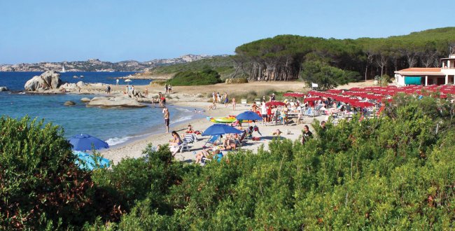 Spiaggia affollata con ombrelloni colorati e vegetazione verde.