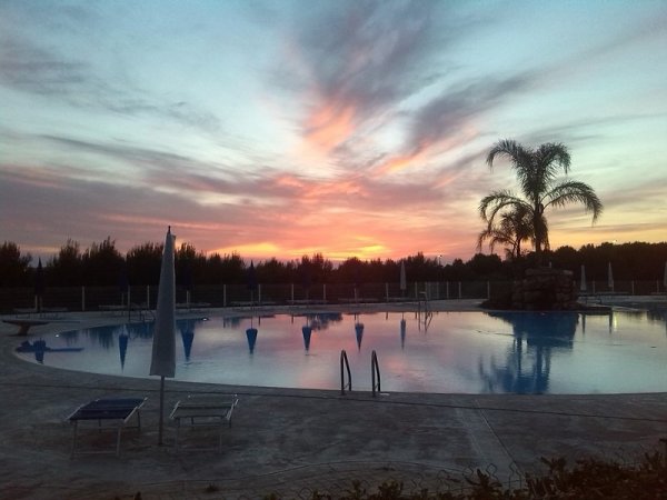 Piscina al tramonto con palme sullo sfondo.