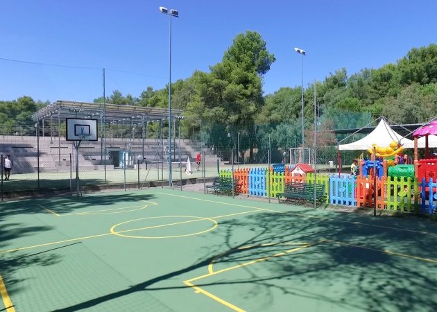 Campo sportivo all'aperto con canestro da basket.