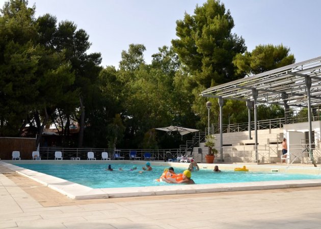 Piscina con bambini che giocano e alberi intorno.