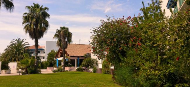 Giardino con palme e arbusti fioriti.