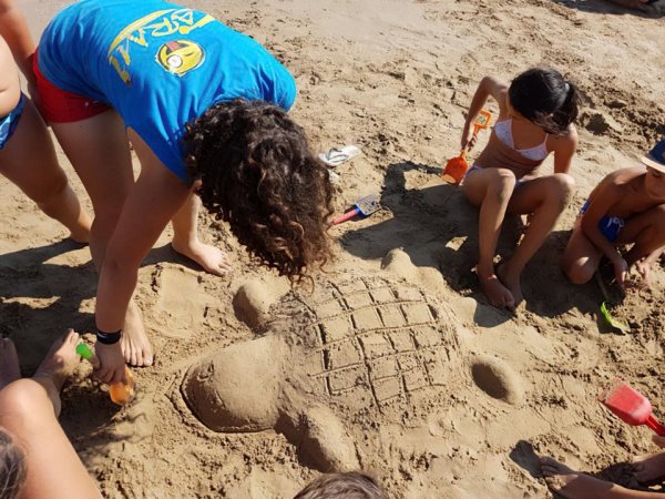 Bambini costruiscono una tartaruga di sabbia sulla spiaggia.