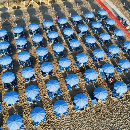 Ombrelloni blu allineati su una spiaggia di sabbia chiara.