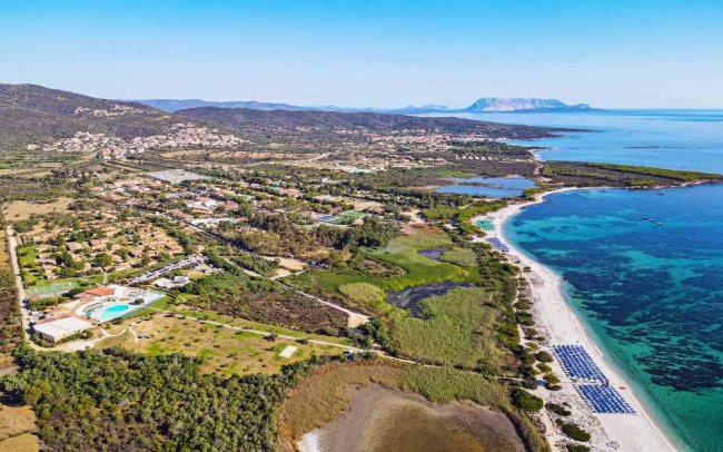 Veduta aerea di una spiaggia con mare turchese e vegetazione.